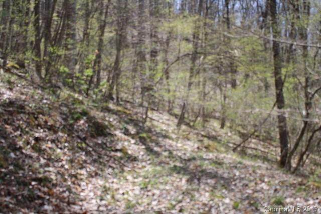 102 Chimney Rock Drive - Photo 1