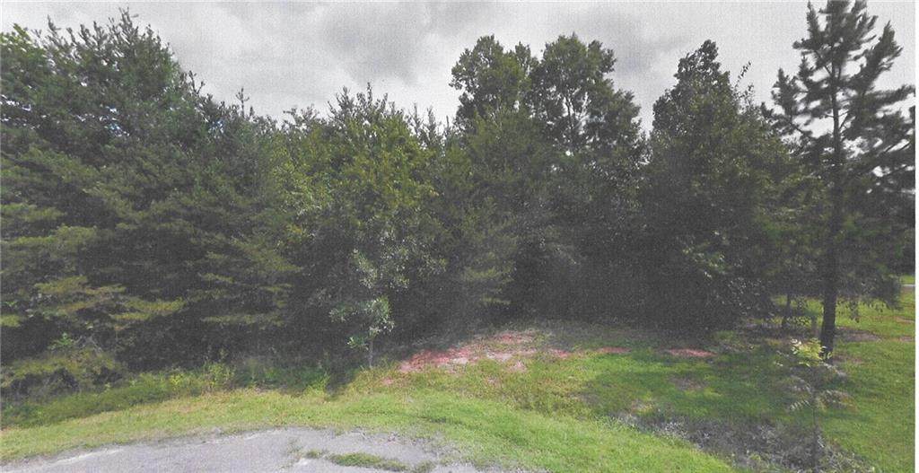 121 Sharon Lane - Photo 1