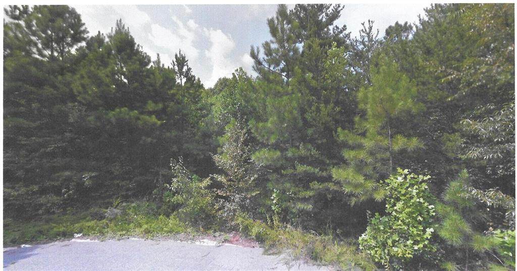 110 Sharon Lane - Photo 1