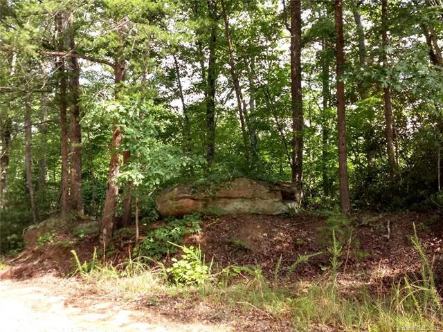 Lot 267 Wildcat Circle - Photo 1