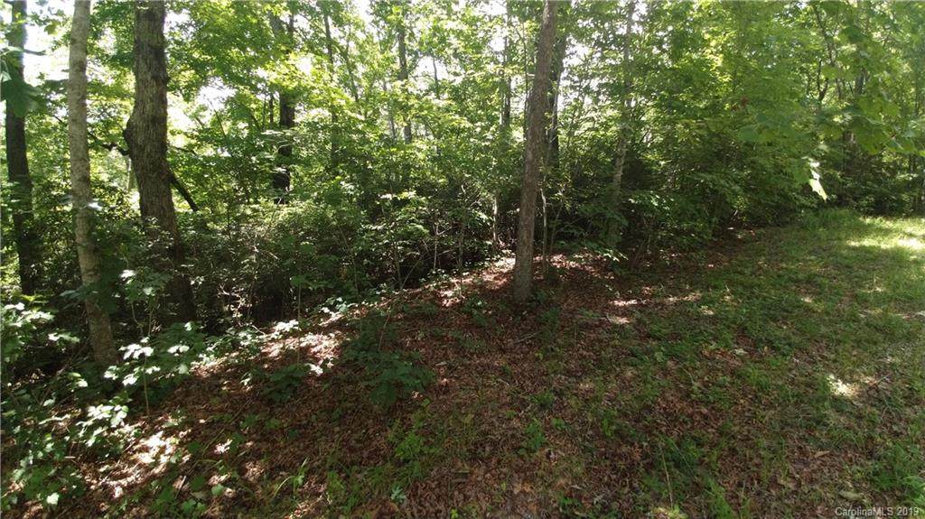 Lot 7 Crooked Creek Estates - Photo 1