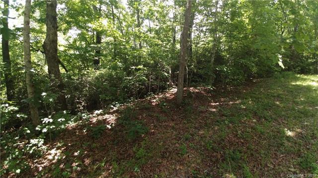 Lot 7 Crooked Creek Estates - Photo 1