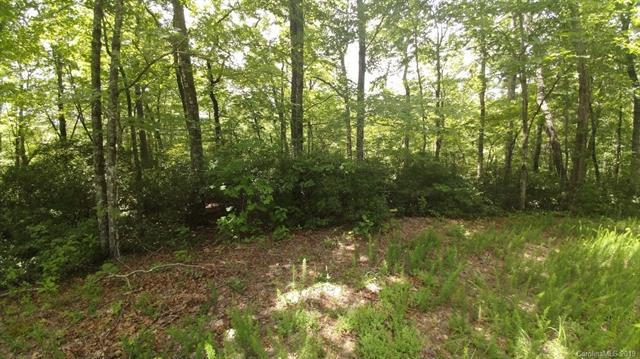 Lot 10 Crooked Creek Estates - Photo 1