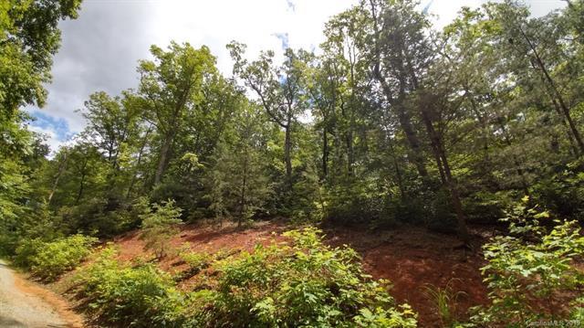 Lot 11 Crooked Creek Estates - Photo 1