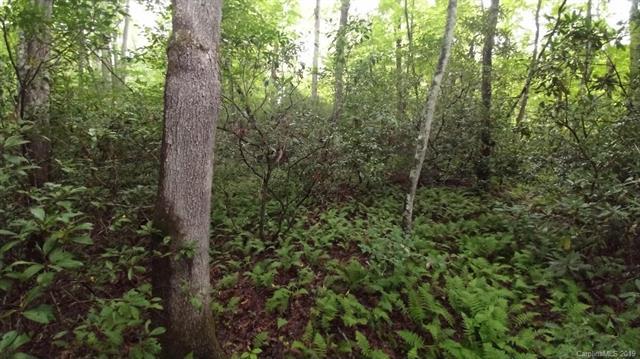 Lots 16,17 Crooked Creek Estates - Photo 1