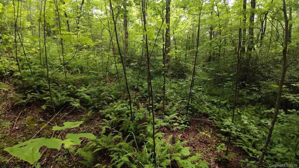 Lot 20 Crooked Creek Estates - Photo 1