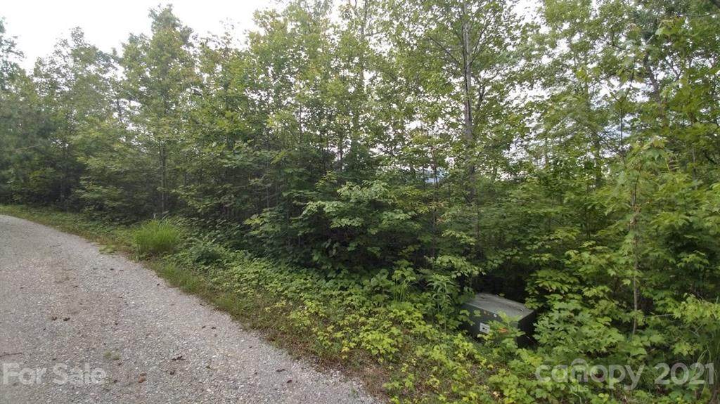 Lot 20 Crooked Creek Estates - Photo 1