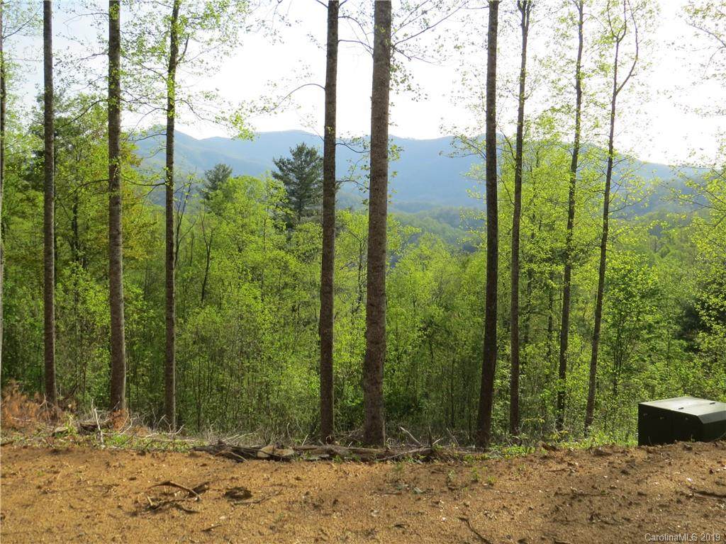 000 Bolens Creek Road - Photo 1