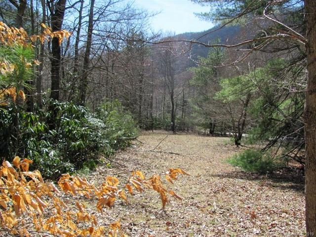 00 Bull Creek Road - Photo 1