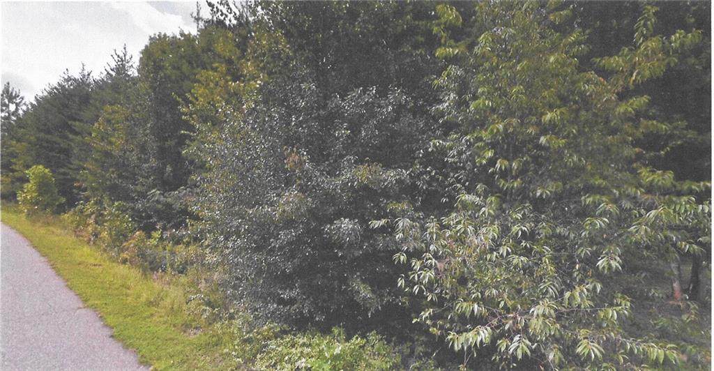 140 Priscilla Drive - Photo 1