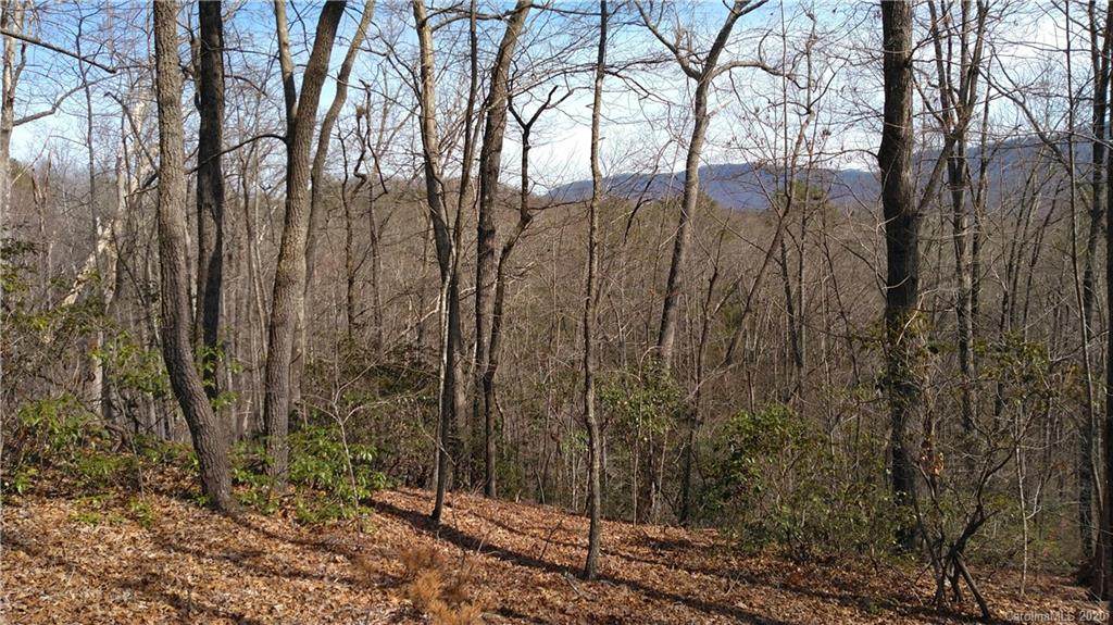 Lot 24 Crooked Creek Estates - Photo 1