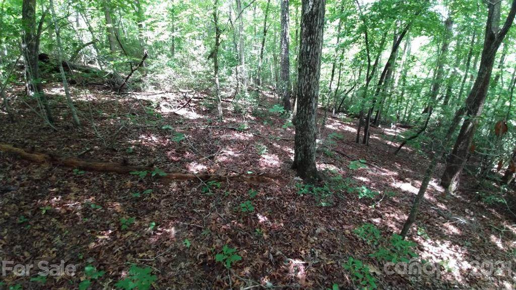 Lot 24 Crooked Creek Estates - Photo 1