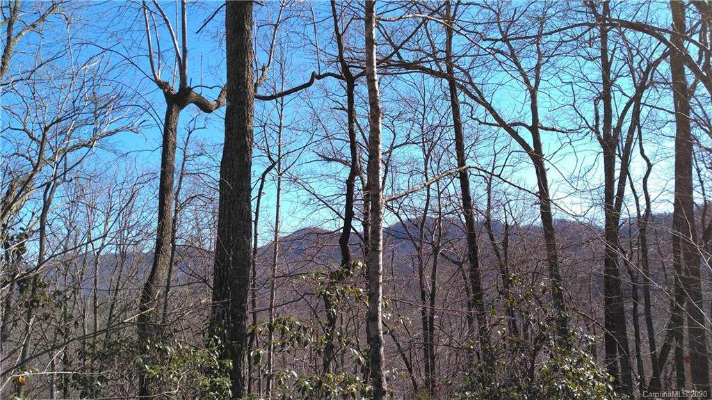 Lot 28 Crooked Creek Estates - Photo 1