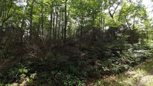 Lot 29 Crooked Creek Estates - Photo 1