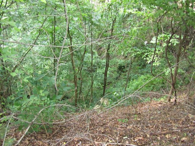 Lot 49 Crookston Drive - Photo 1