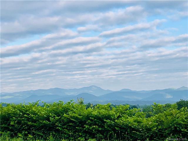 100 Mountain Magnolia Lane - Photo 1