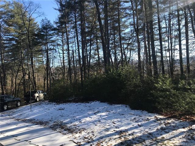 Lot 78 Mountain Home Trail - Photo 1