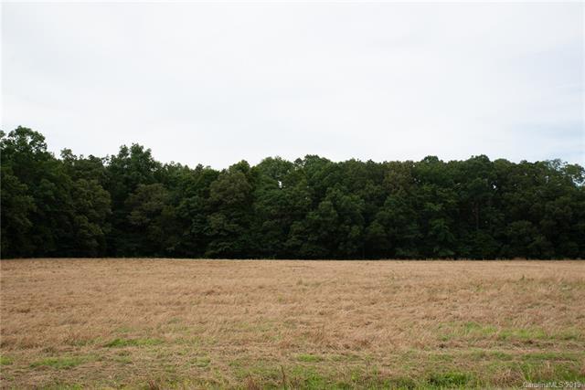 000 Old Dutch Road - Photo 1