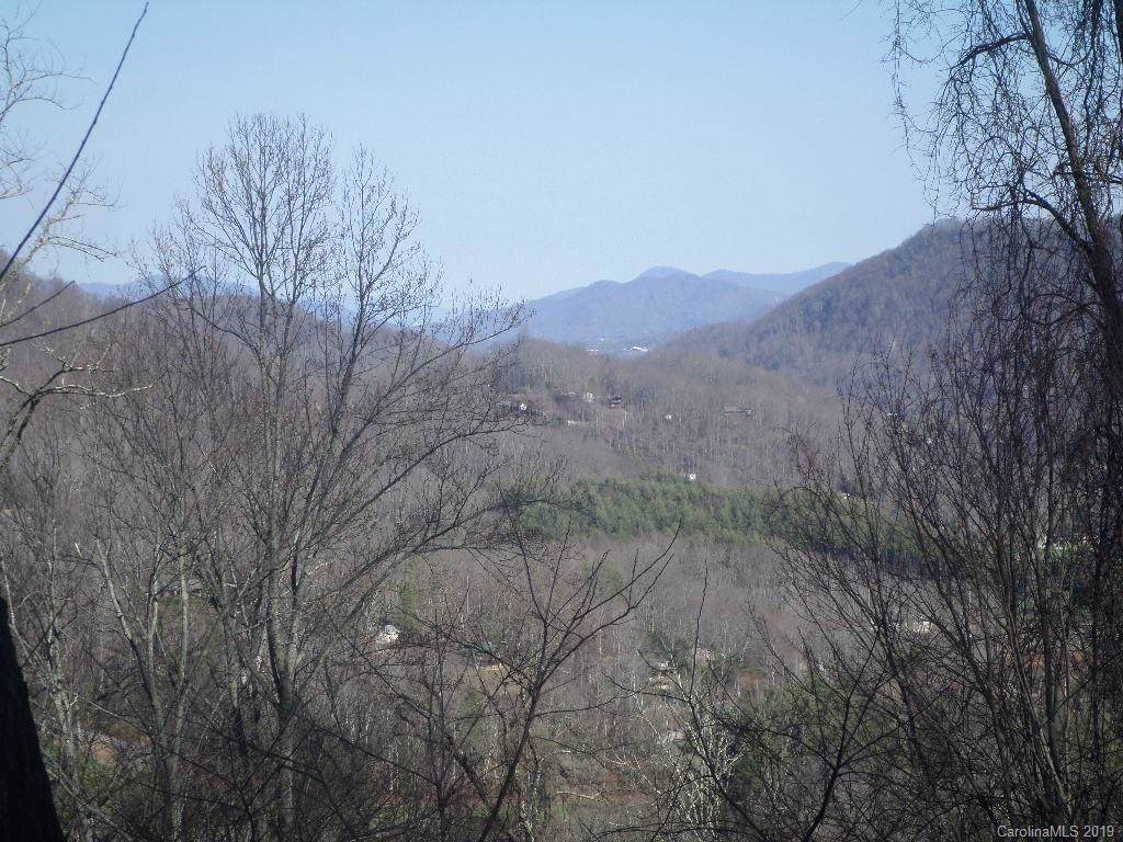0 Off Sutton Town Road - Photo 1