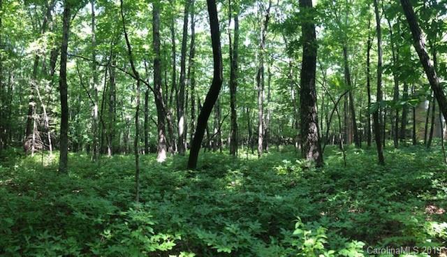 C-30 Frazier Road - Photo 1