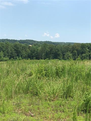 1061 Eupeptic Springs Road - Photo 1