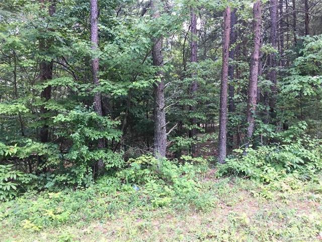 00 Pinnacle Road - Photo 1