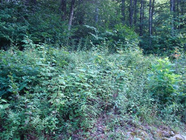211 Siler Lane - Photo 1 211 Siler Lane - Photo 1