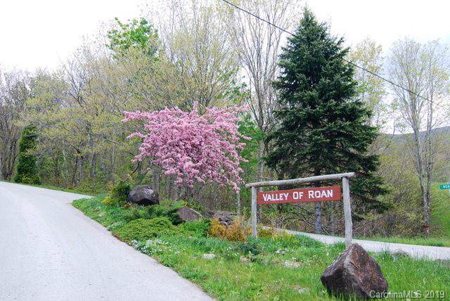 0 Mule Trail Drive - Photo 1