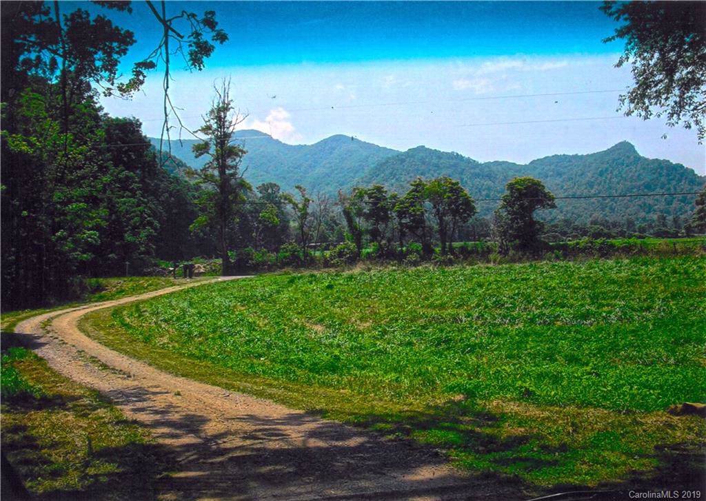 TBD Betsys Gap Road - Photo 1