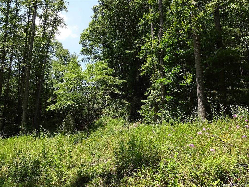0 Battle Creek Road - Photo 1