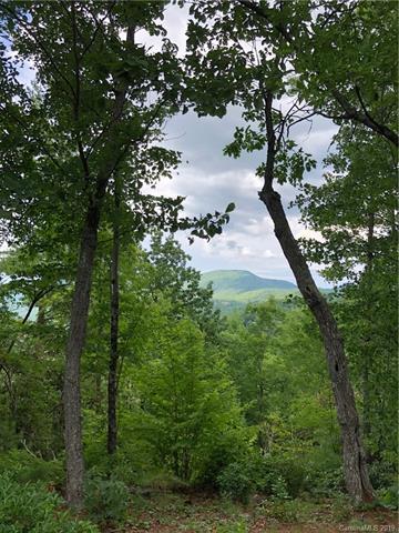 00 Fox Ridge Trail - Photo 1