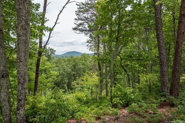 0002 Lure Ridge Drive - Photo 1