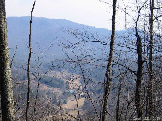 0 Ike Woods Road - Photo 1