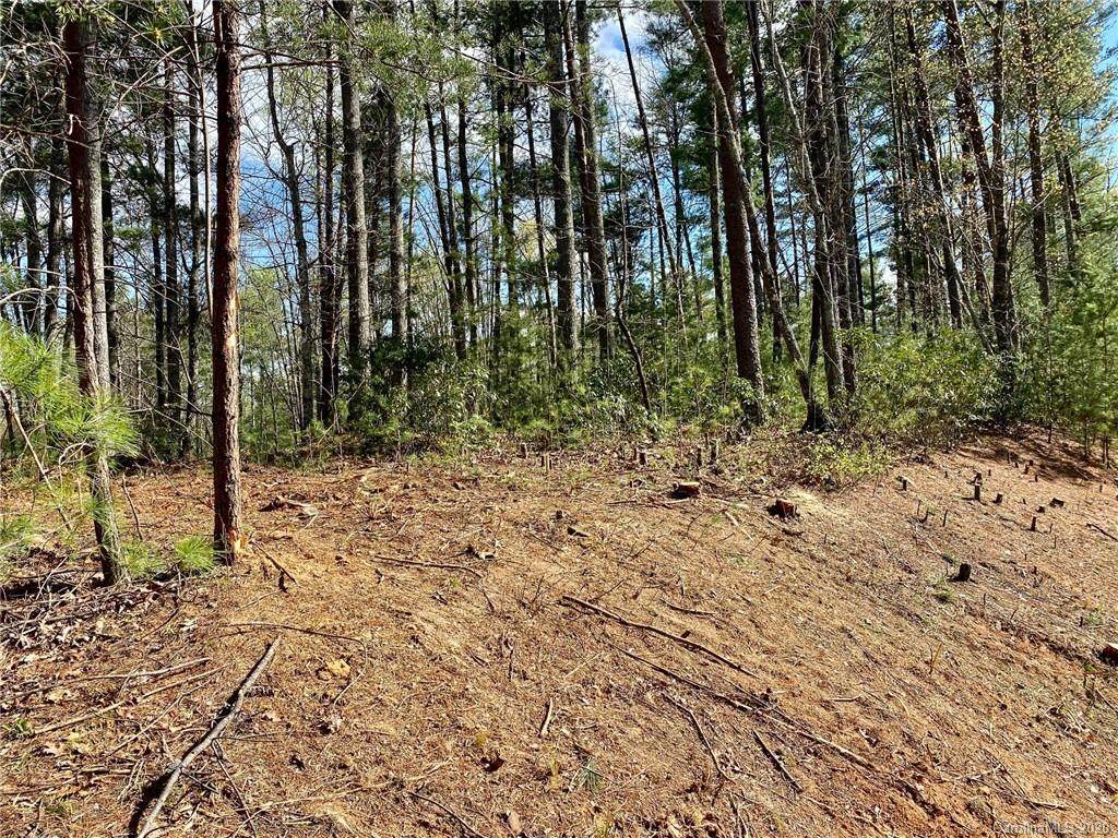 46 Osprey Roost Drive - Photo 1