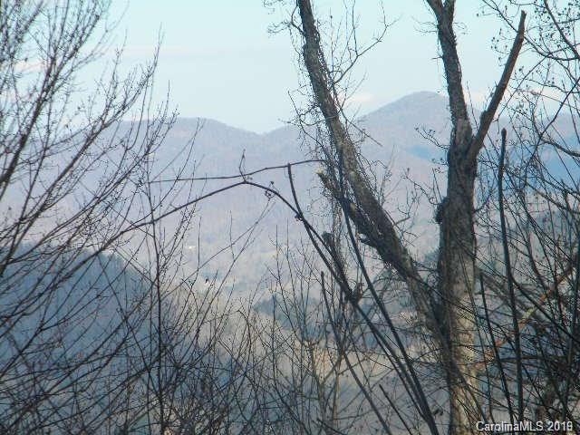Lot 49 Hoot Owl Ridge Road - Photo 1