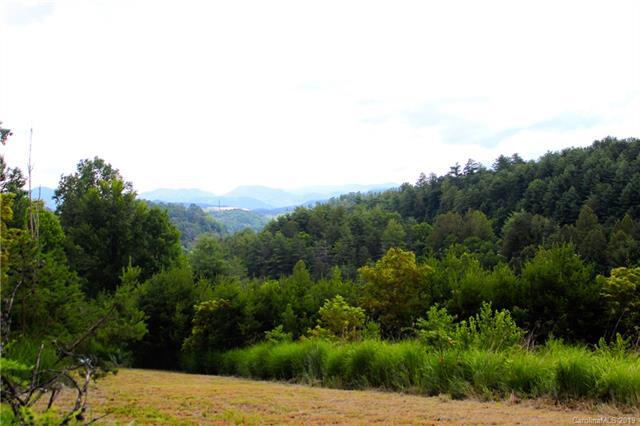 744 Old Mars Hill Highway - Photo 1