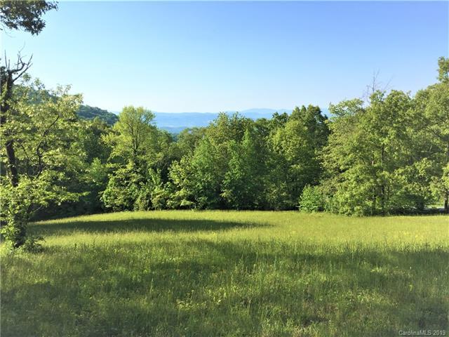 Lot #117 Autumn Sky Drive - Photo 1