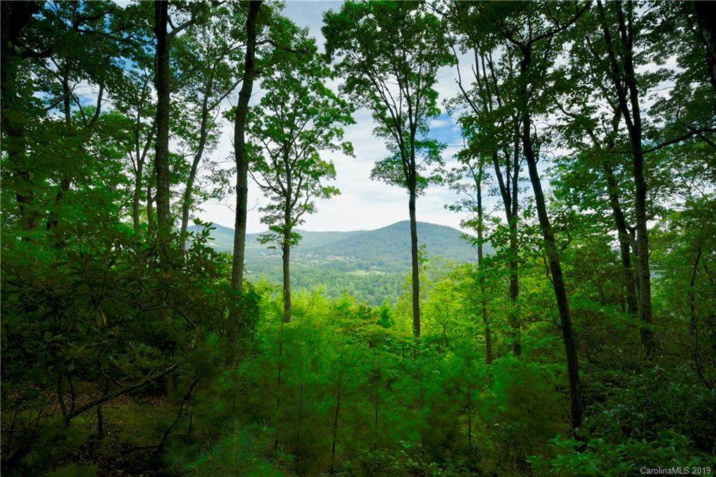 32 Featherstone Trail - Photo 1