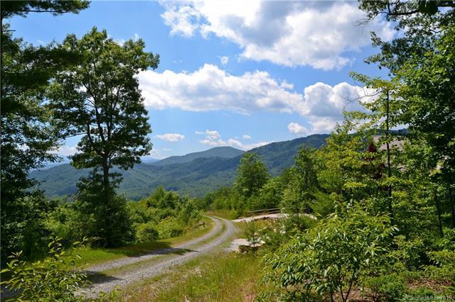 Lot 39 Fox Ridge Trail - Photo 1