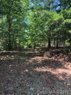 Lot 51 Canoe Drive - Photo 1