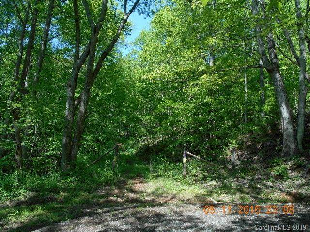 TBD Sweet Creek Road - Photo 1