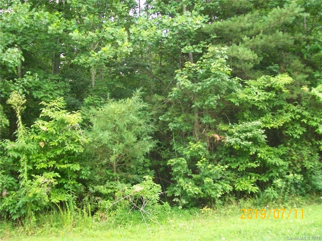 1223 Forest Ridge Road - Photo 1