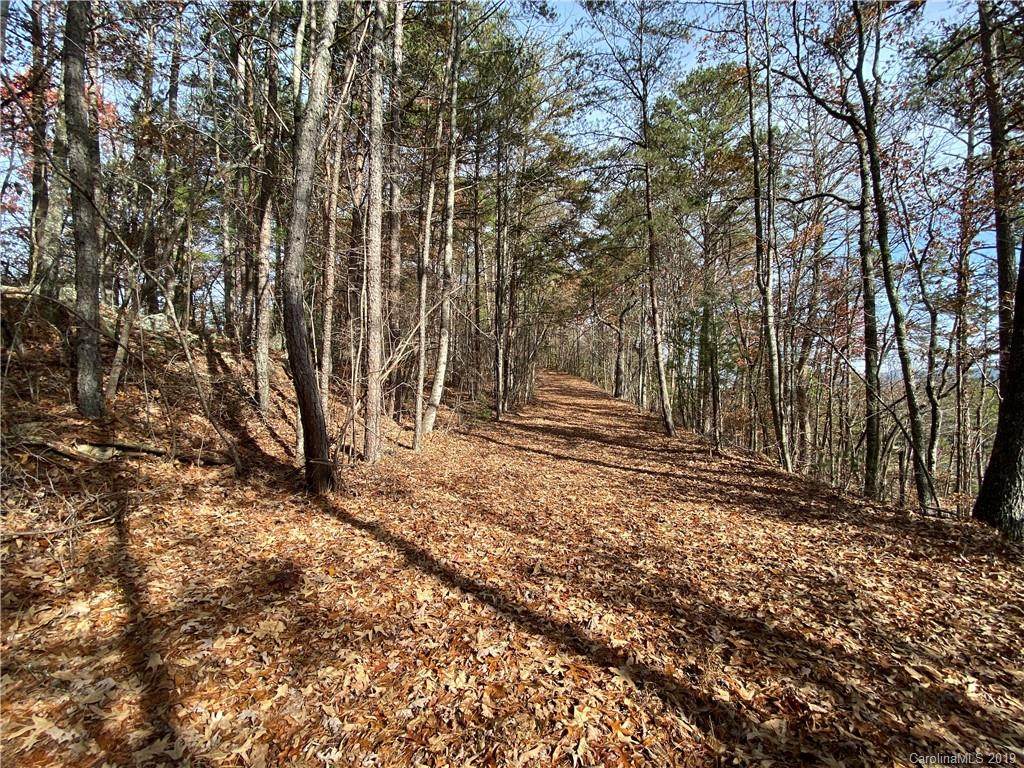 00 Old Tomotla Road - Photo 1 00 Old Tomotla Road - Photo 1