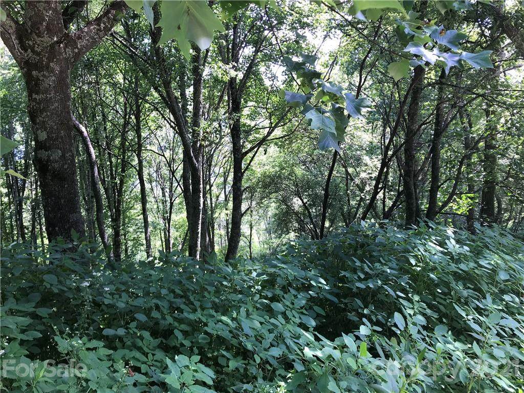 Lot #40 Ridge Top Circle - Photo 1