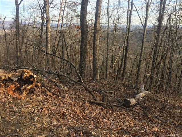 0 Pinetree Lane - Photo 1