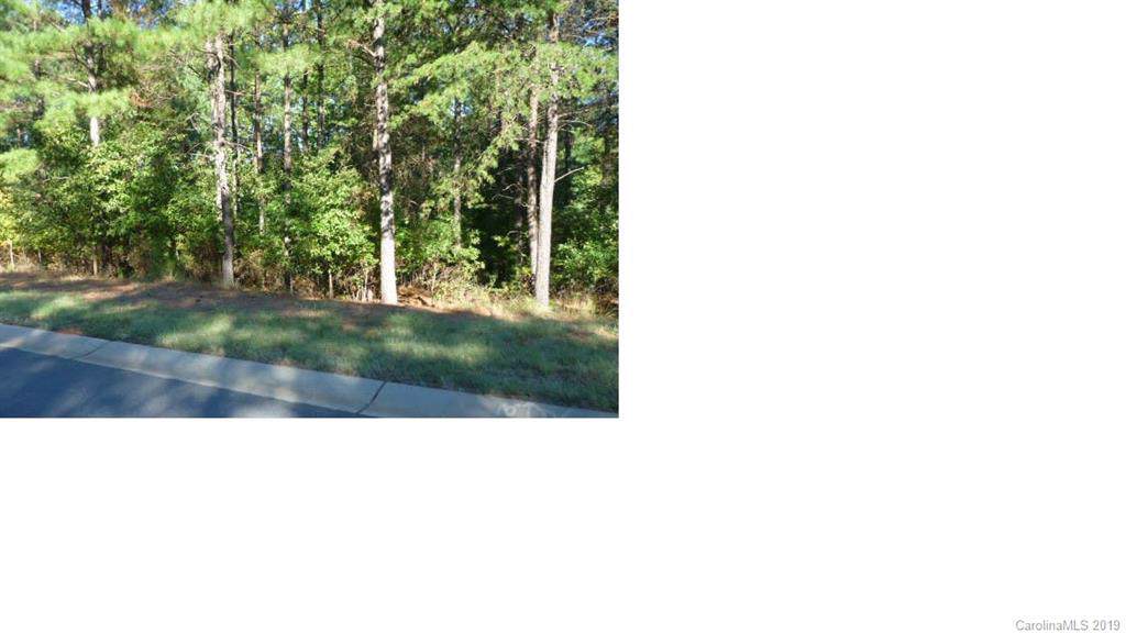 3028 Lake Pointe Drive - Photo 1