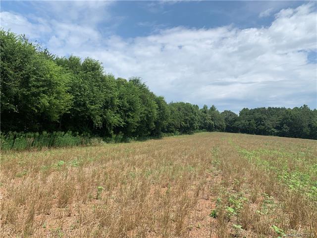 9.886 Ac Haystack Lane - Photo 1