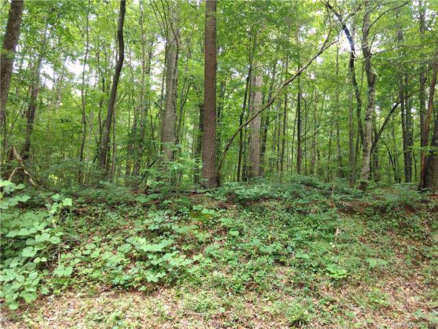 00 Pine Tree Road - Photo 1