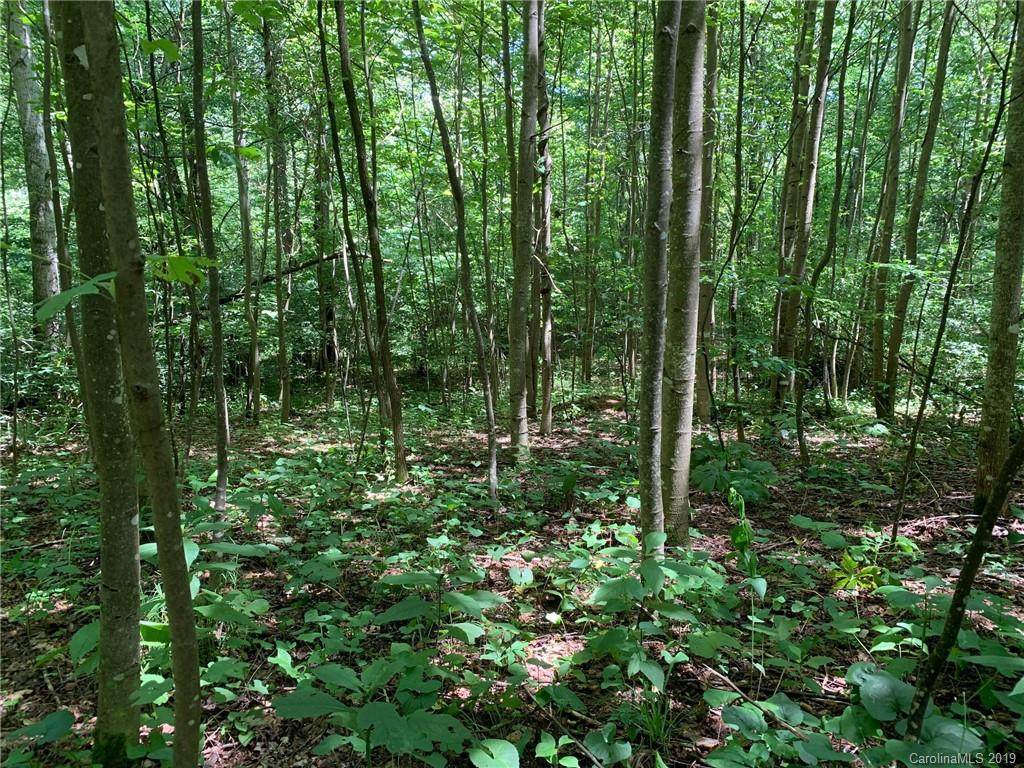 22 Early Spring Way - Photo 1