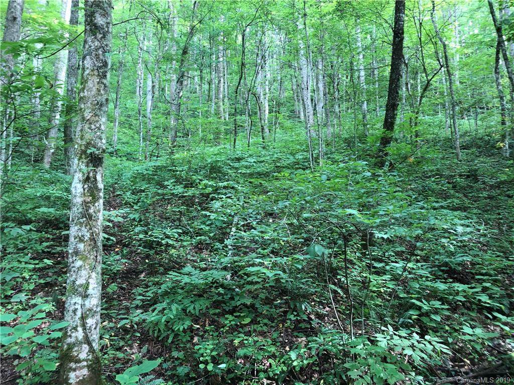 43 Cougar Mountain Road - Photo 1